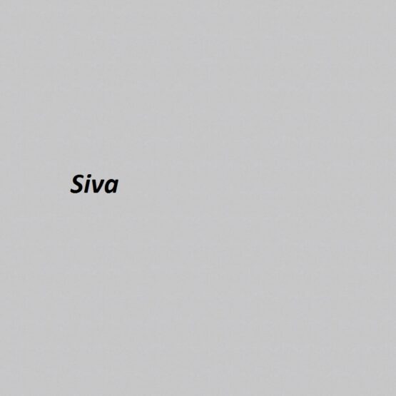 Kutija za flašu više modela - Image 10