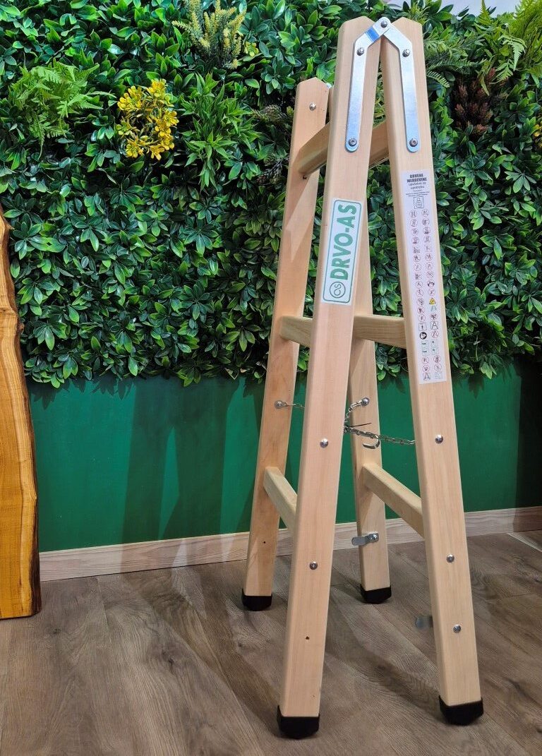 20251213_115848 (Medium)