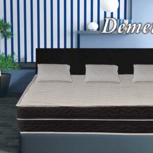 Dušek Demetra N / cena u opisu