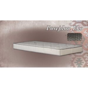 Dušek Posejdon Eko / cena u opisu