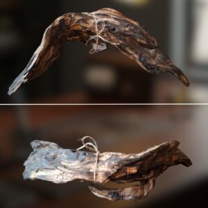 Dekorativno drvo 0003