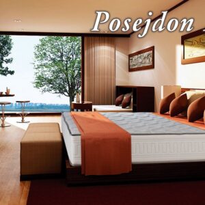 Dušek Posejdon Lux / cena u opisu