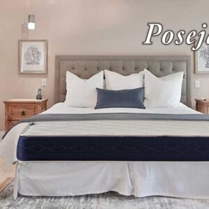 Dušek Posejdon S / cena u opisu