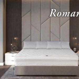 Dušek Romansa V / cena u opisu