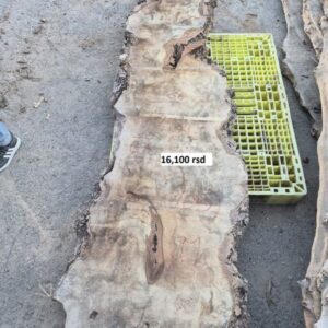 Suva daska  Mazer  100  Uradi sam