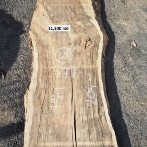 Suva daska  Topole  49  Uradi sam